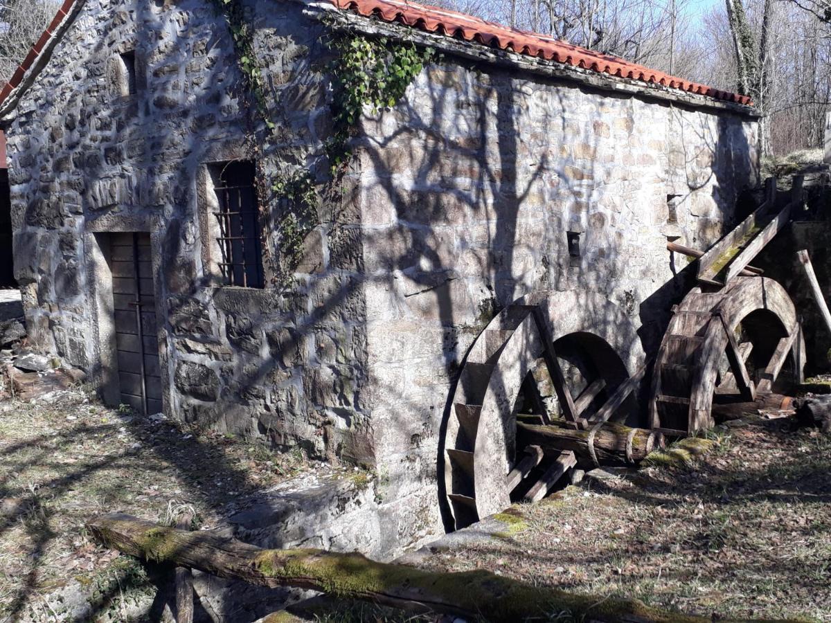 Gračišče Wine House Rakar旅馆 外观 照片