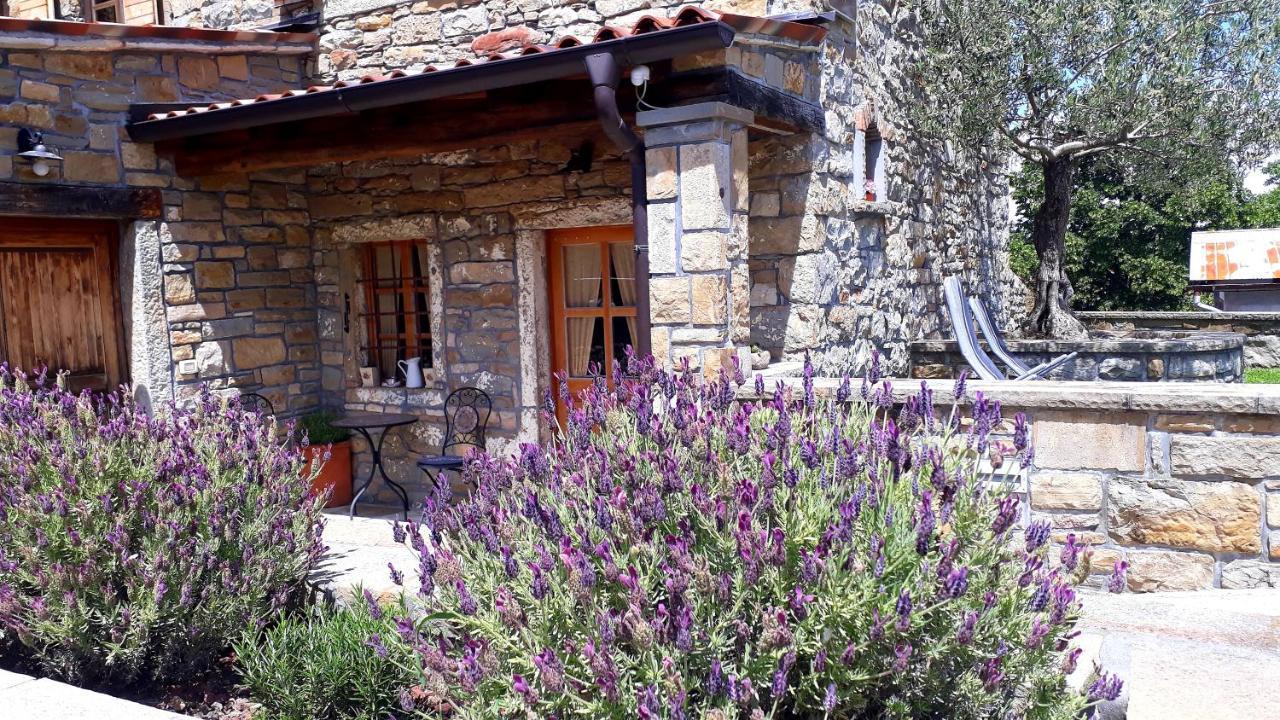 Gračišče Wine House Rakar旅馆 外观 照片