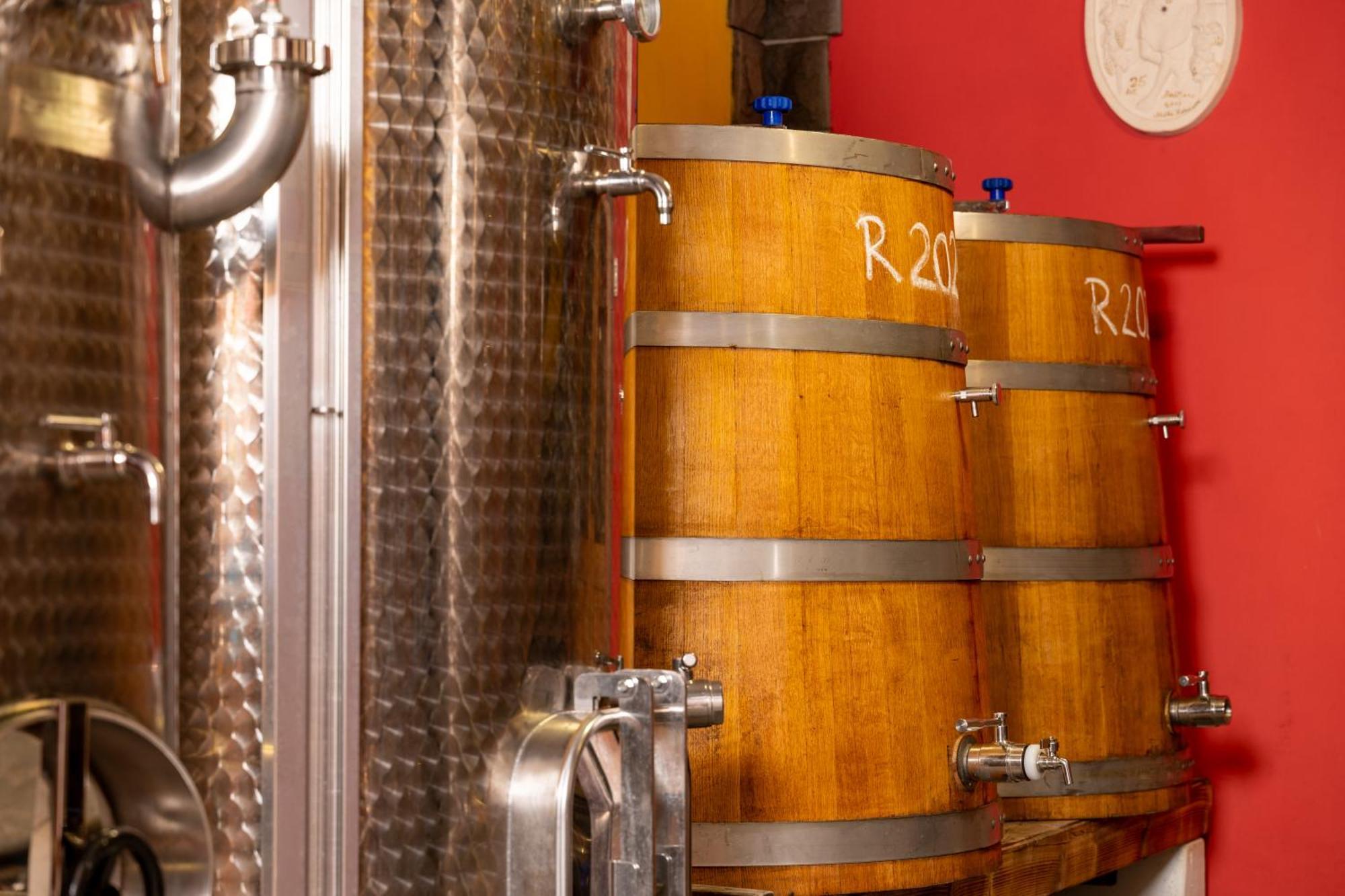 Gračišče Wine House Rakar旅馆 外观 照片