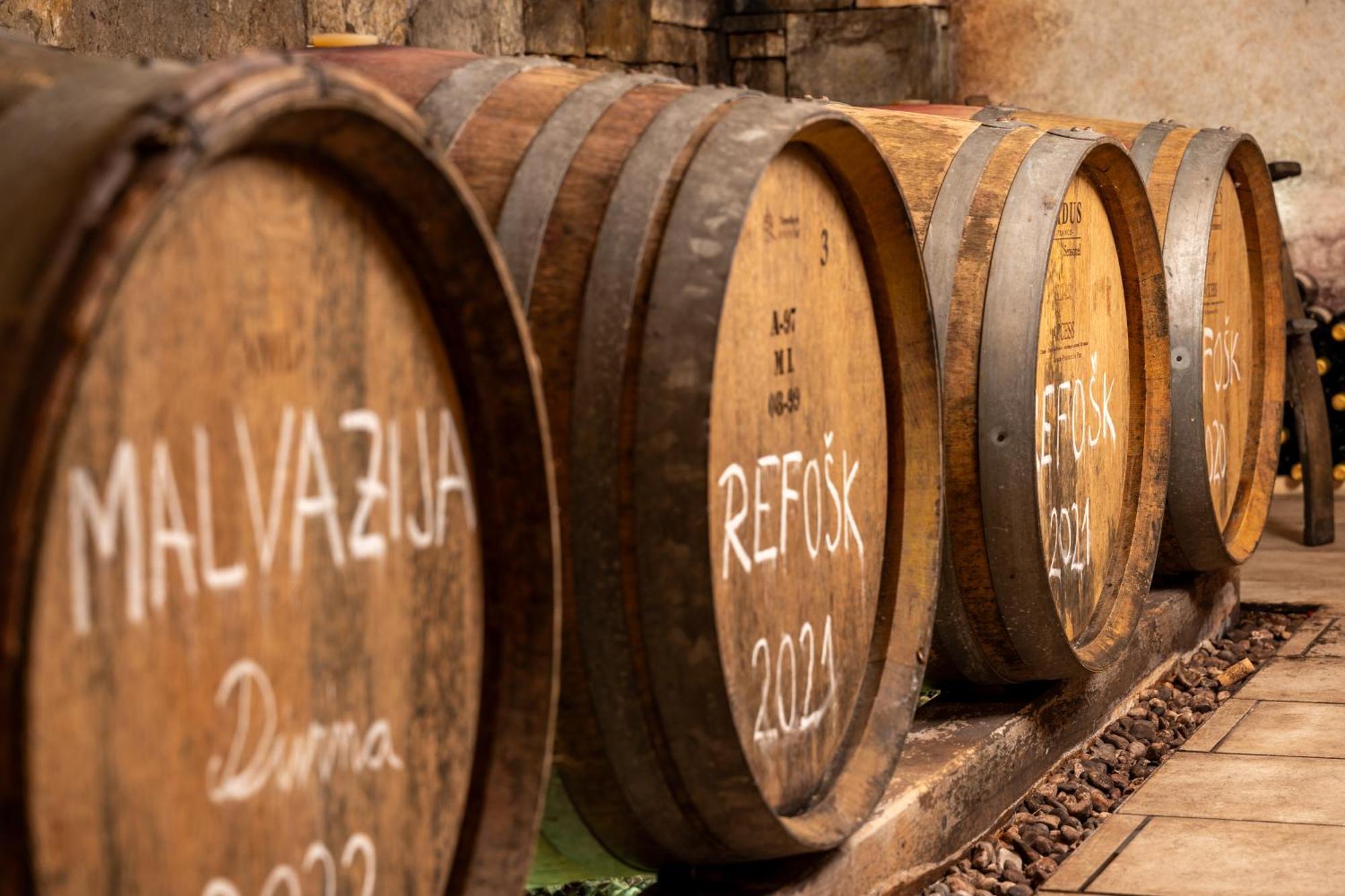 Gračišče Wine House Rakar旅馆 外观 照片