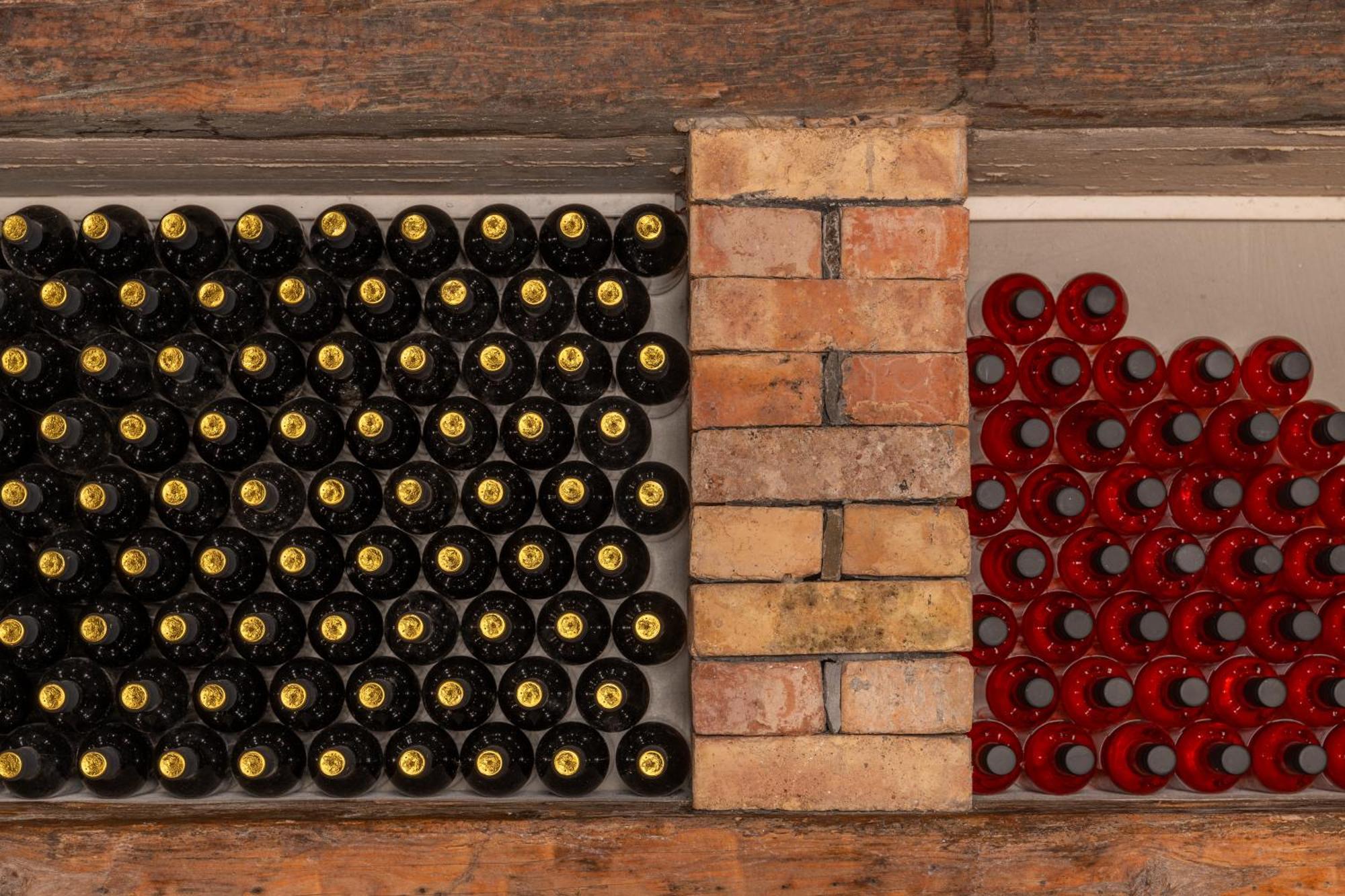 Gračišče Wine House Rakar旅馆 外观 照片