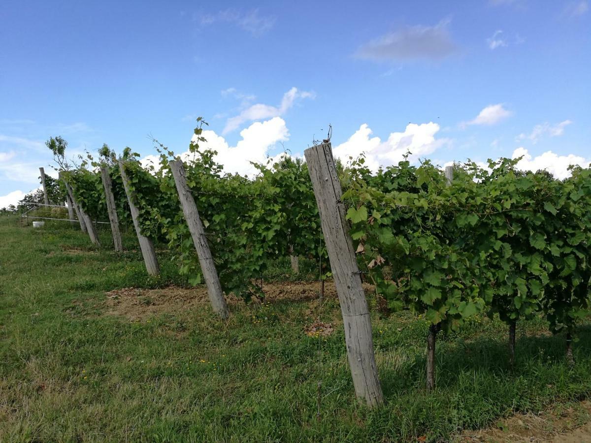 Gračišče Wine House Rakar旅馆 外观 照片