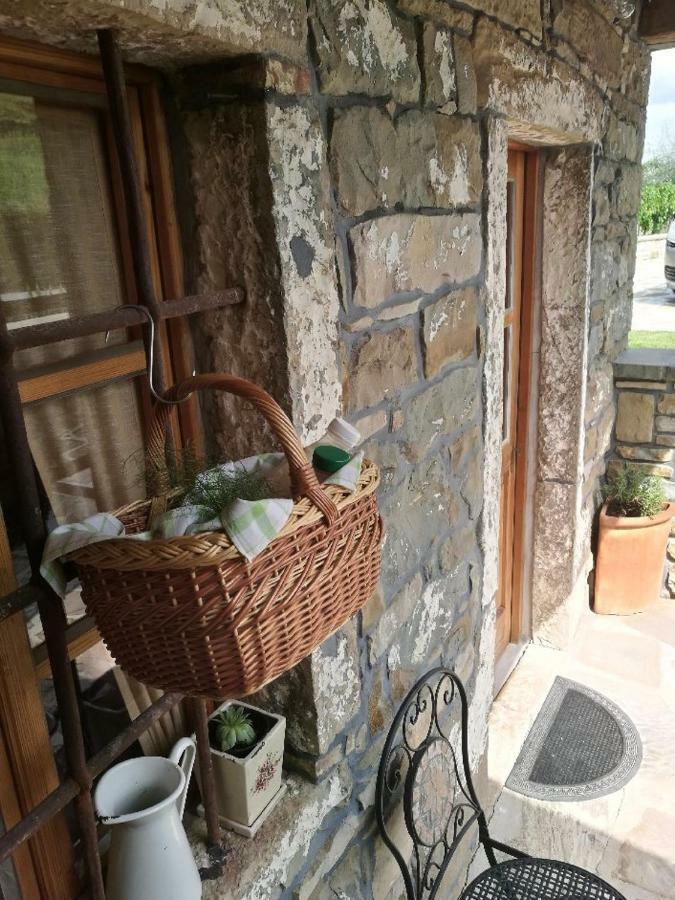 Gračišče Wine House Rakar旅馆 外观 照片